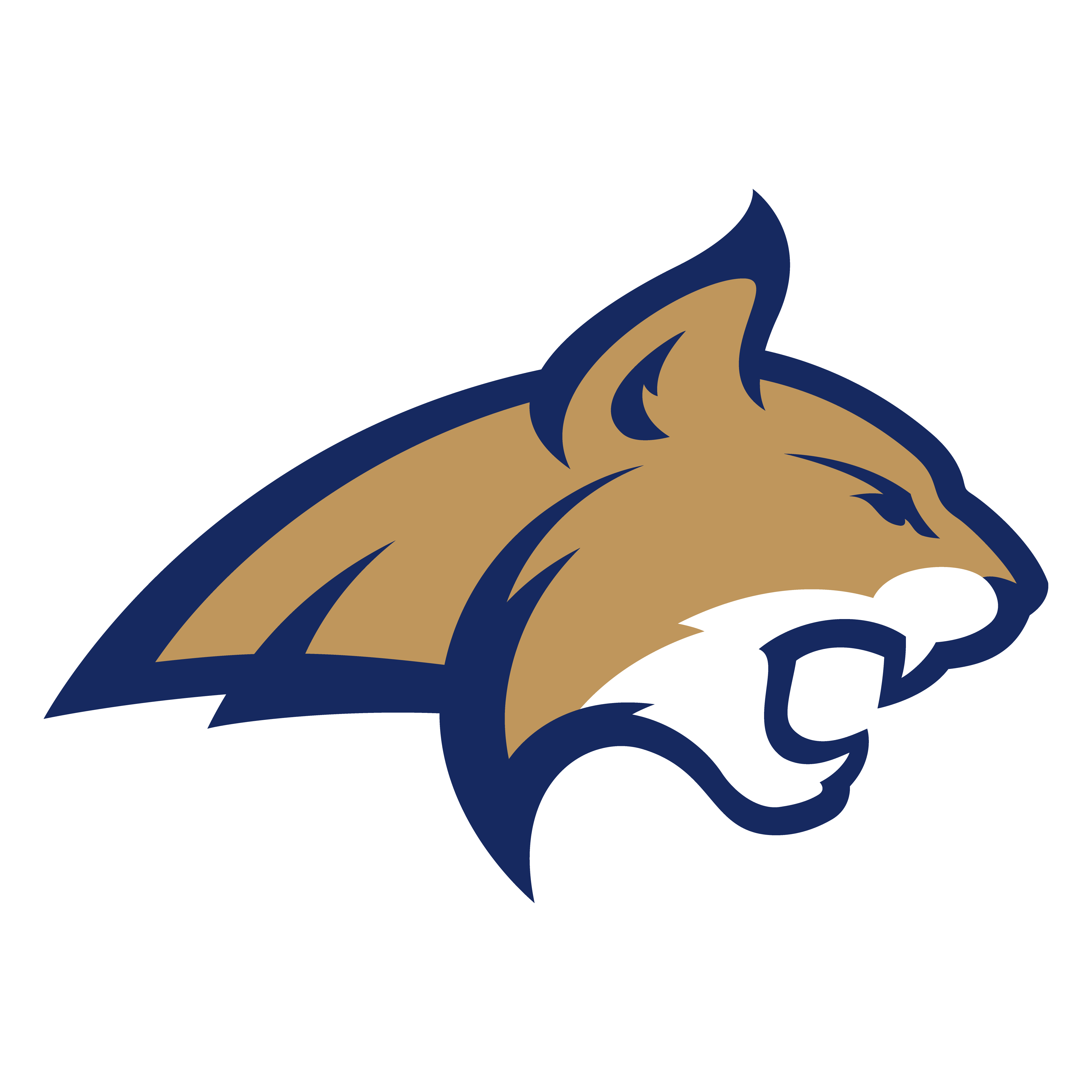 Montana State University